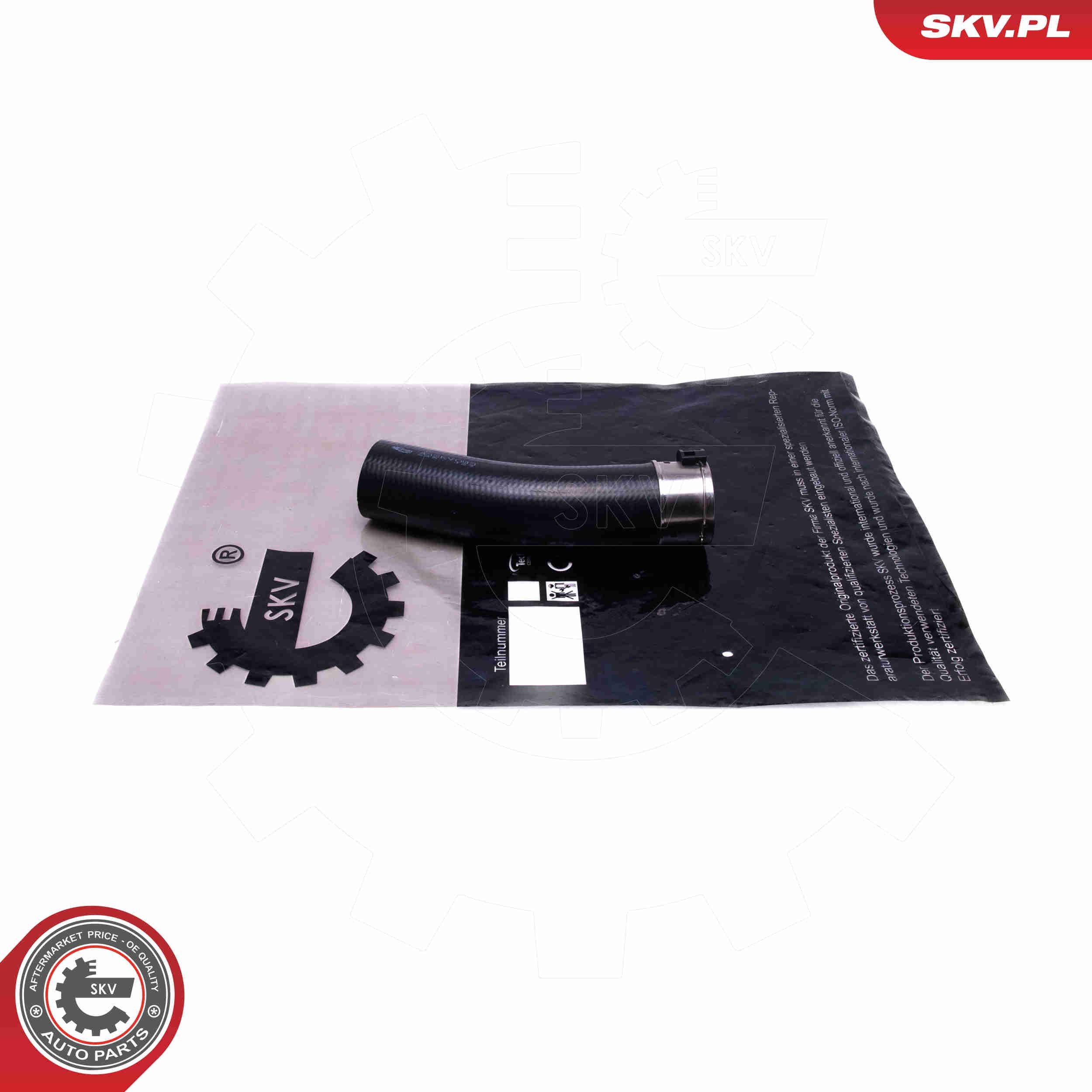 ESEN SKV Control Unit, lights 13033693 - ESEN SKV
