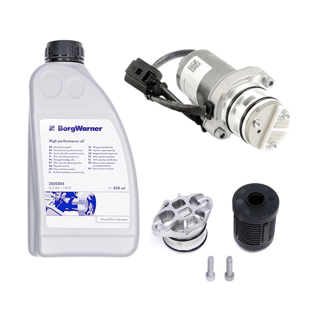 BorgWarner (BERU) Ignition Coil 13203997 - BorgWarner (BERU)