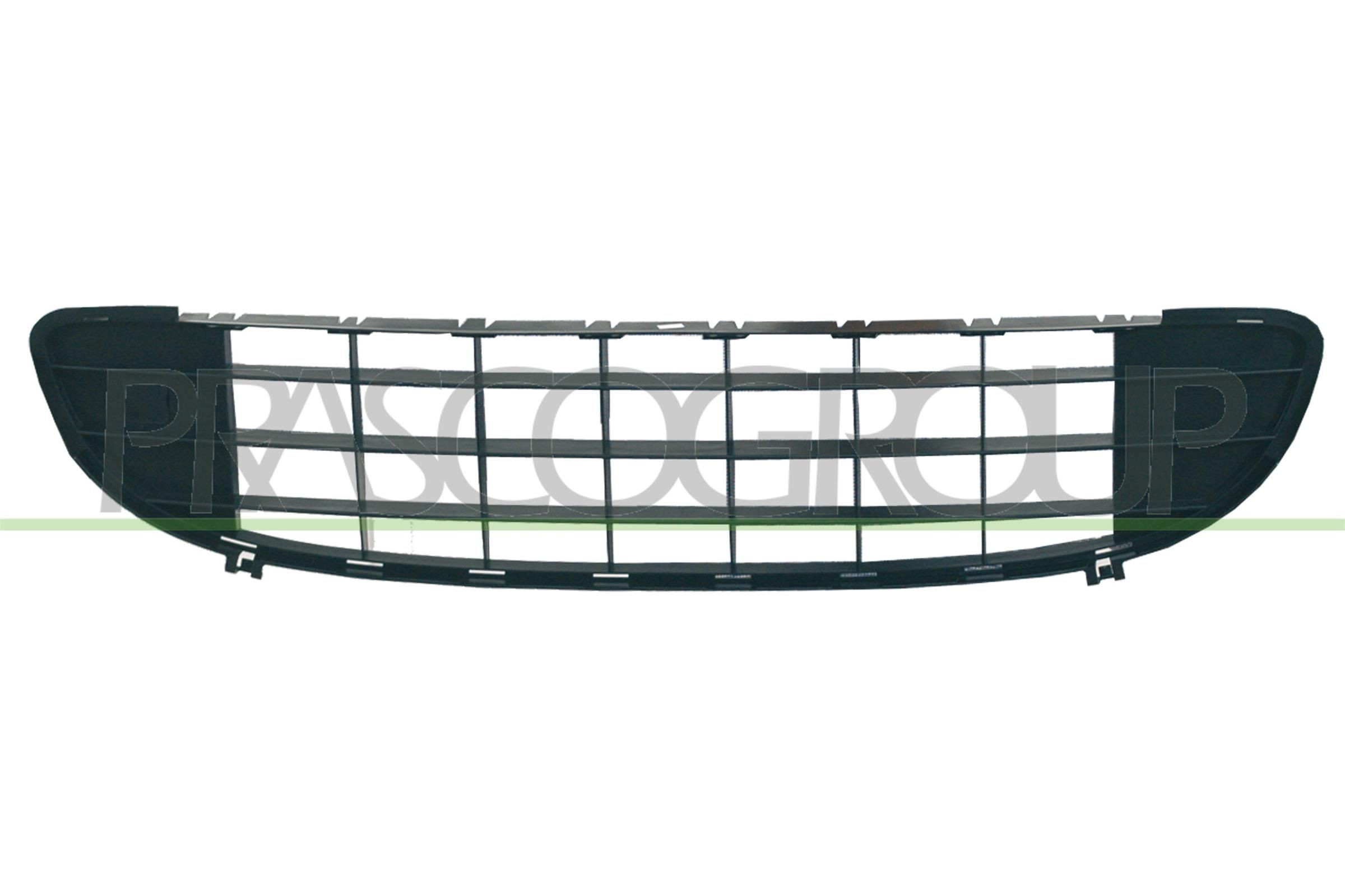 PRASCO Door, body 12221670 - PRASCO