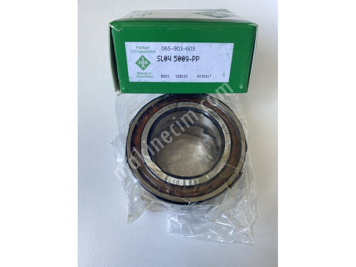 INA Water Pump 11856359 - INA