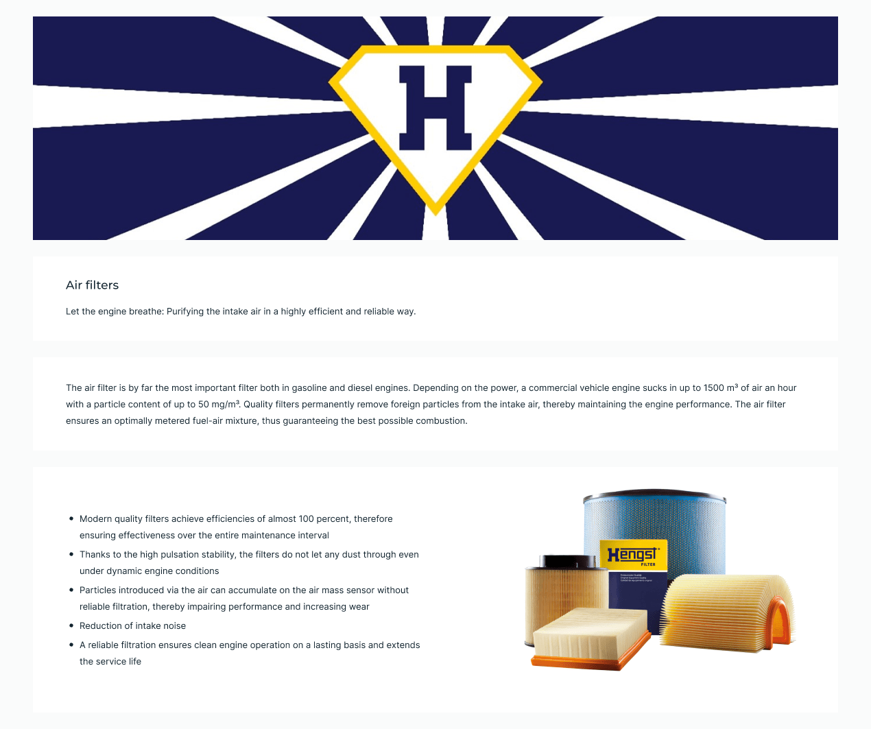 HENGST FILTER Oil Filter 10046565 - HENGST FILTER