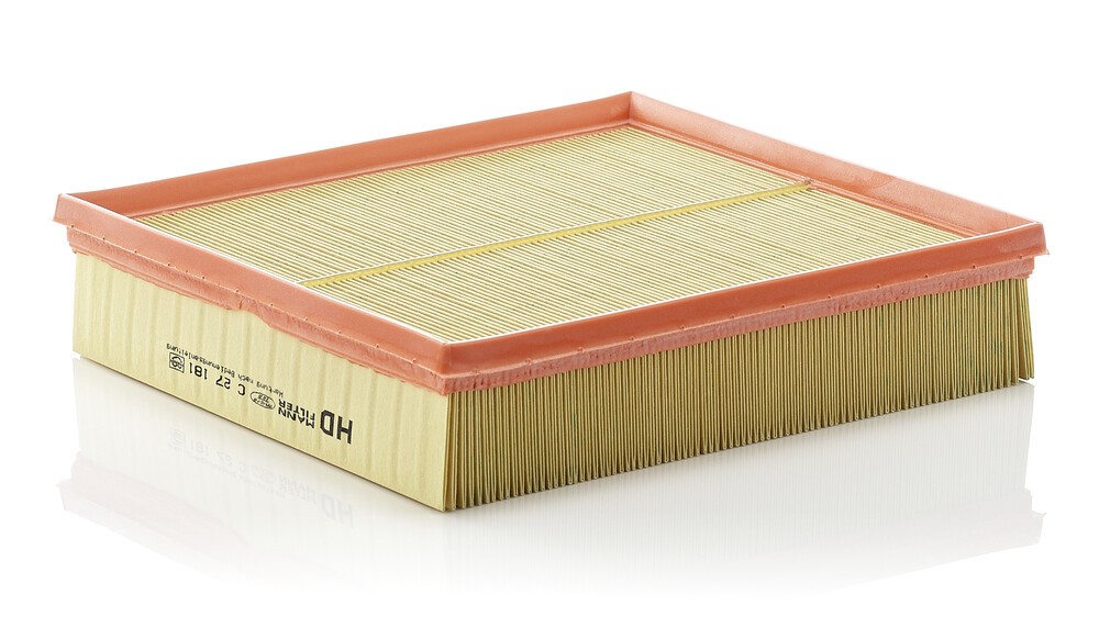 MANN-FILTER Air Filter 12572181 - MANN-FILTER