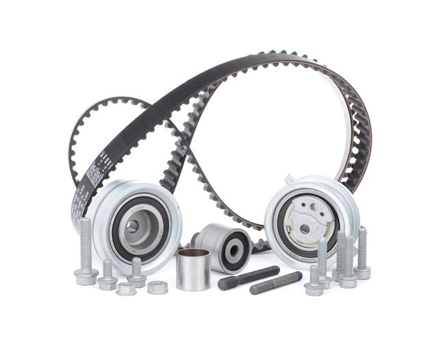 INA Timing Chain Kit 13095087 - INA