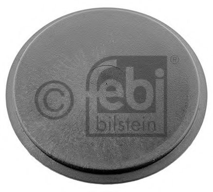 Capac, brat intinzator - FEBI BILSTEIN