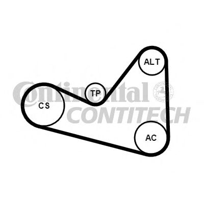 Set curea trapezoidale cu nervuri - CONTINENTAL CTAM