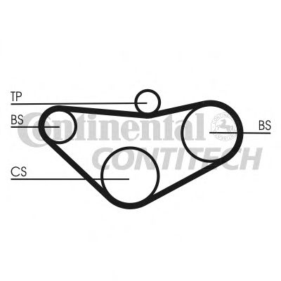 Curea de distributie - CONTINENTAL CTAM