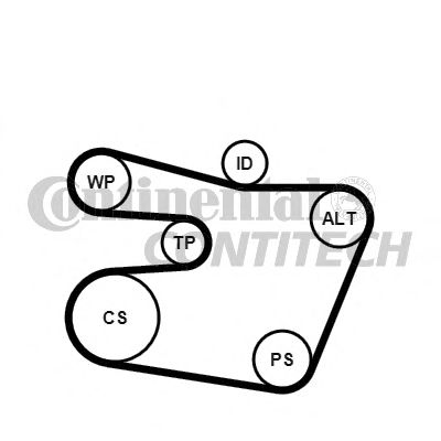 Set curea trapezoidale cu nervuri - CONTINENTAL CTAM