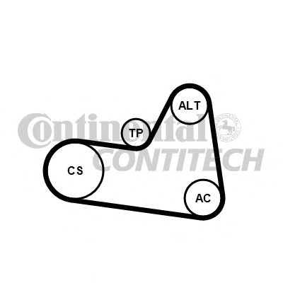 Set curea trapezoidale cu nervuri - CONTINENTAL CTAM