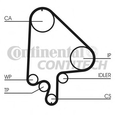 Set curea de distributie - CONTINENTAL CTAM