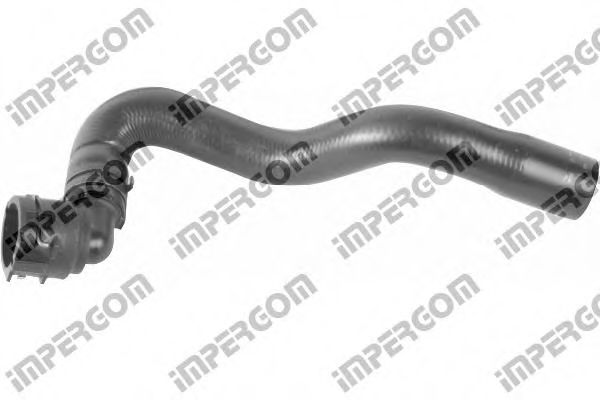 Furtun radiator - VAG