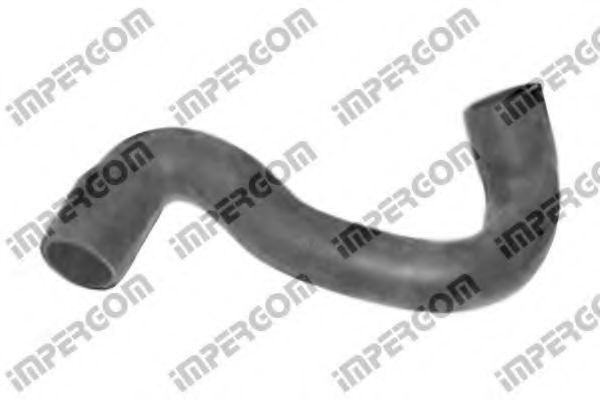 Furtun radiator - BMW