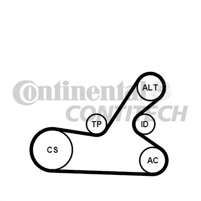 Set curea trapezoidale cu nervuri - CONTINENTAL CTAM