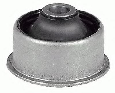 Tufa brațului de control - LEMFOERDER