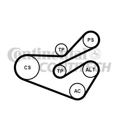 Set curea trapezoidale cu nervuri - CONTINENTAL CTAM