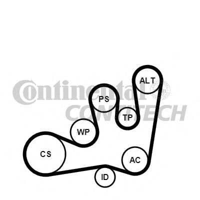Set curea trapezoidale cu nervuri - CONTINENTAL CTAM