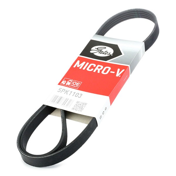 Set curea trapezoidale cu nervuri - GATES
