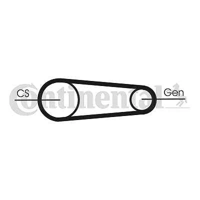 Curea cu caneluri - CONTINENTAL CTAM