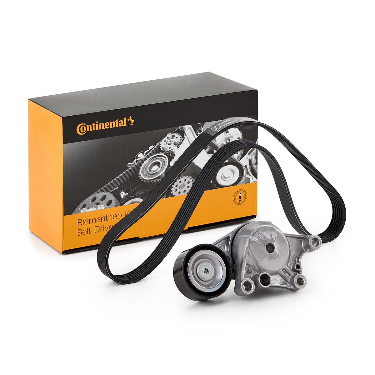Set curea trapezoidale cu nervuri - CONTINENTAL CTAM