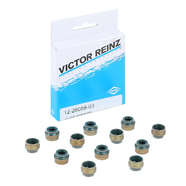 Set complet garnituri motor - VICTOR REINZ