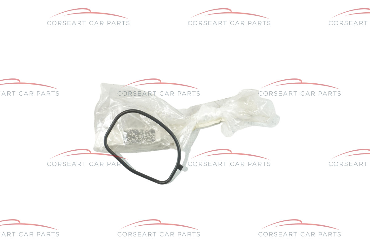Garnitura termostat - FCA