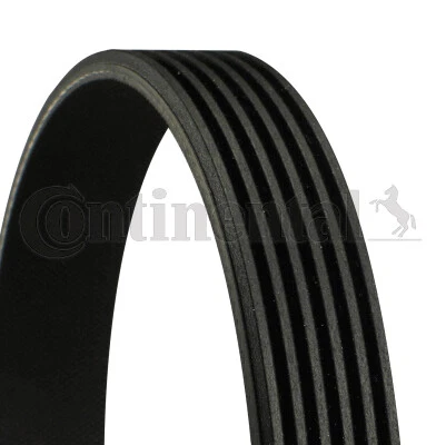 Set curea trapezoidale cu nervuri - CONTINENTAL CTAM