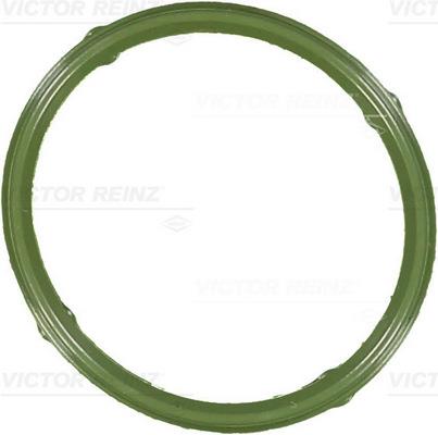 Garnitura capac chiulasa - VICTOR REINZ