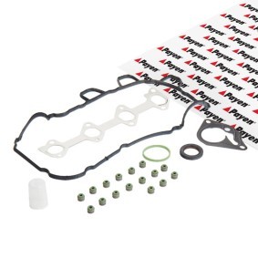 Set garnituri chiulasa - PAYEN