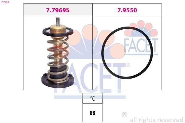 Ornament pentru ferestre - FCA