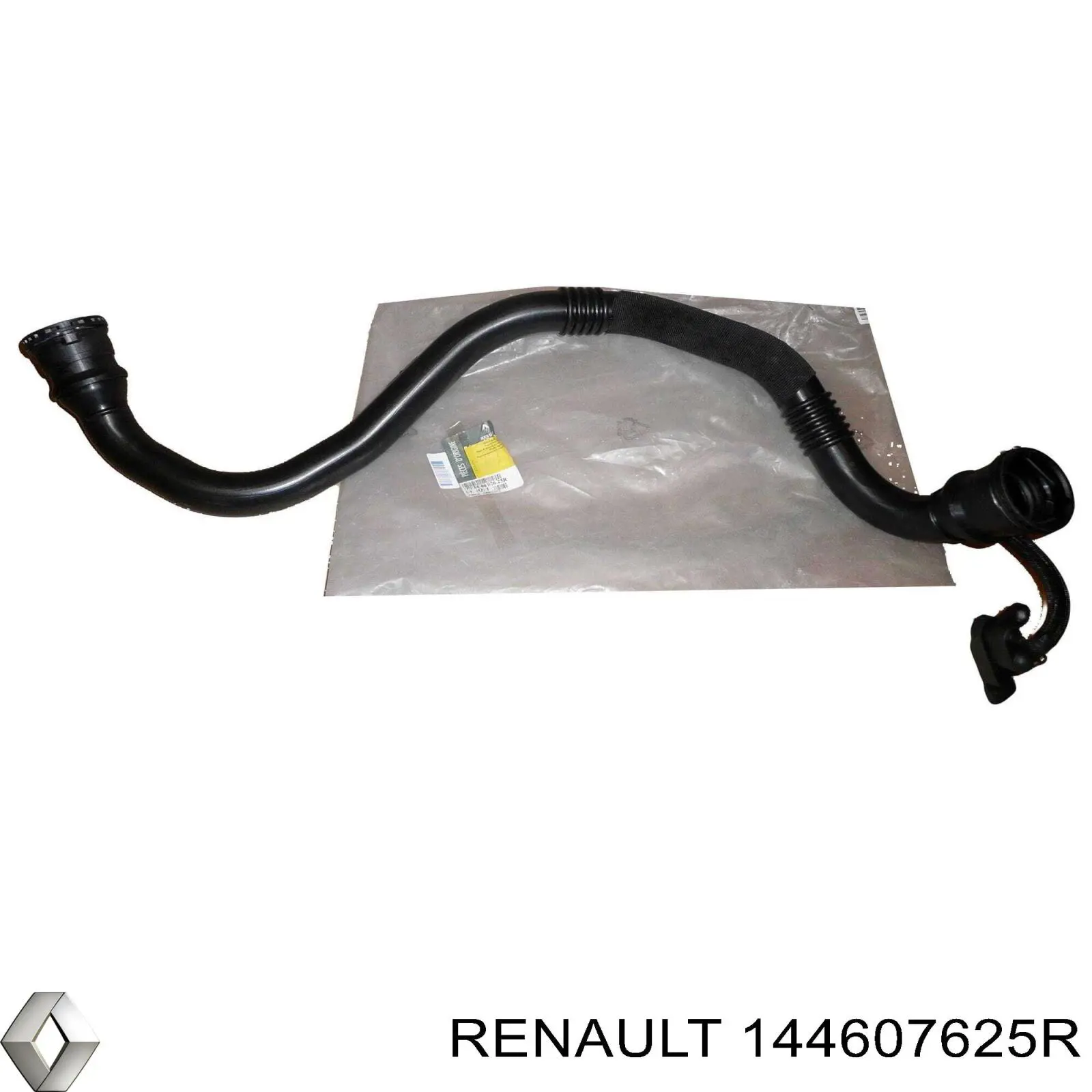 Conductă pentru schimbător de căldură - RENAULT