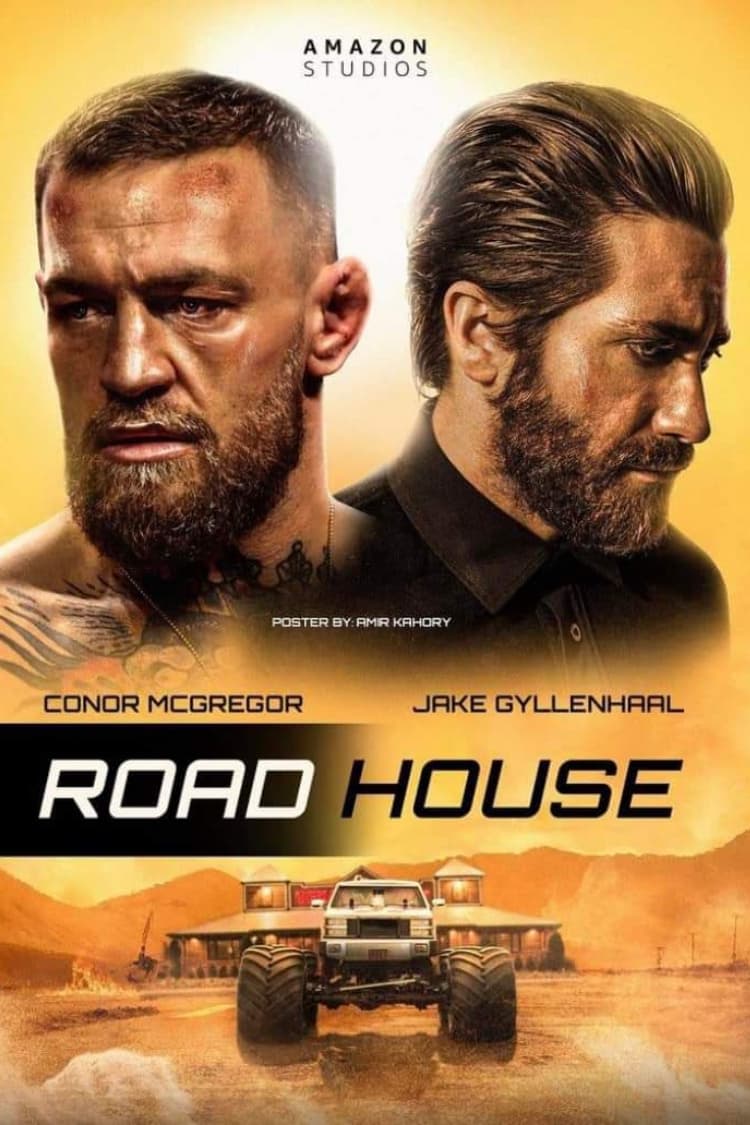 Placute de frana - ROADHOUSE