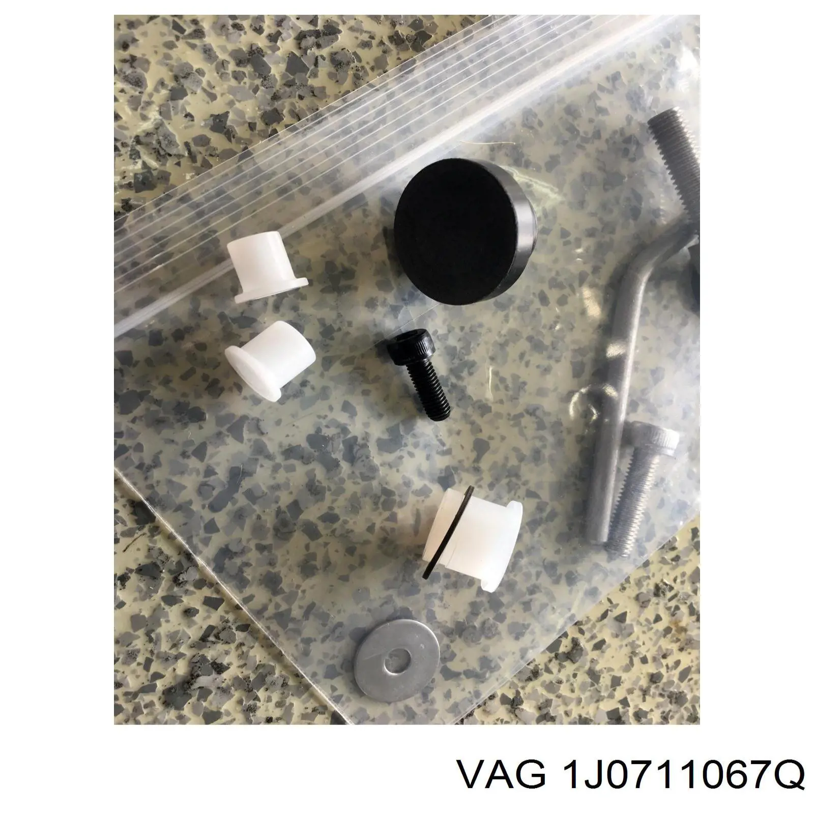 Bush - VAG