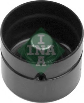 Tachetă - INA