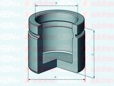 Piston etrier de frana - AUTOFREN SEINSA