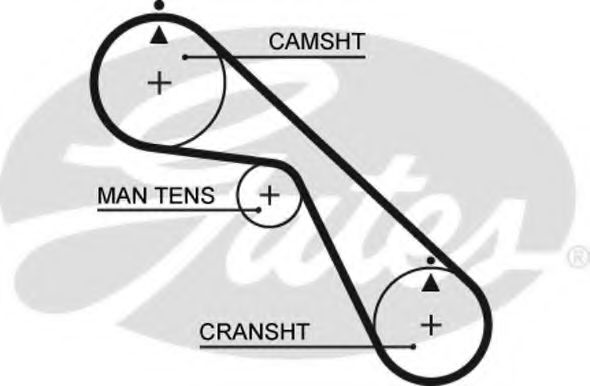 Curea de distributie - GATES