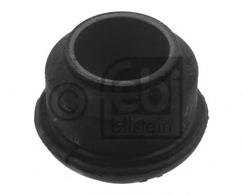 Tufa de ochi de primăvară - FEBI BILSTEIN