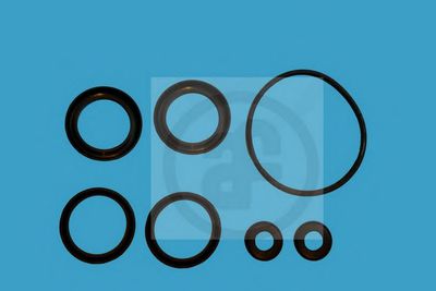 Kit de reparare a cilindrului principal de frână - AUTOFREN SEINSA