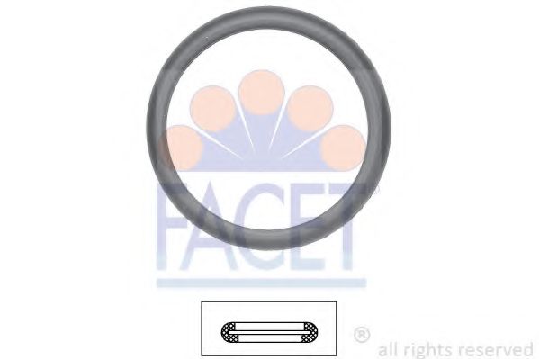 Garnitura termostat - FACET