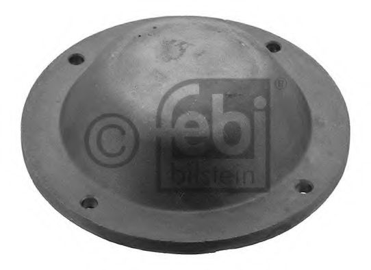 Capac butuc roata - FEBI BILSTEIN