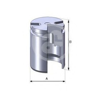 Piston etrier de frana - AUTOFREN SEINSA