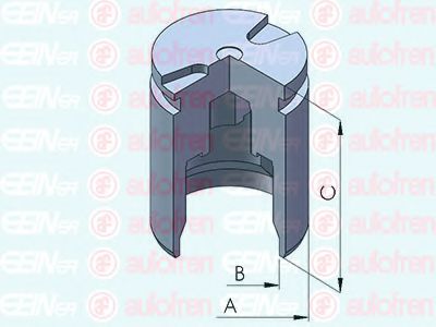 Piston etrier de frana - AUTOFREN SEINSA