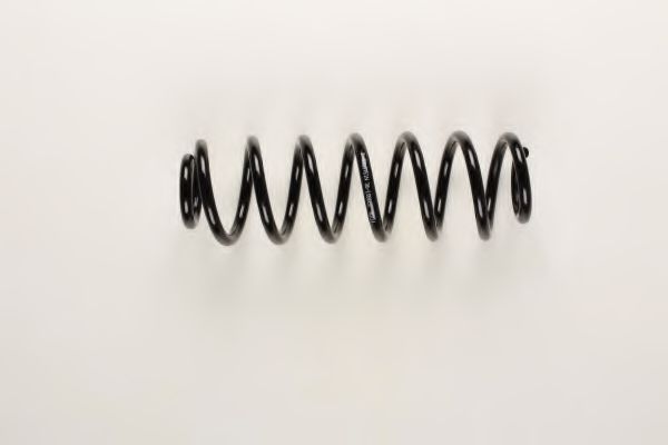 Arc elicoidal - BILSTEIN