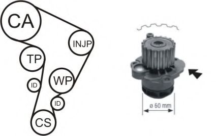 Set curea distributie cu pompa de apa - AIRTEX