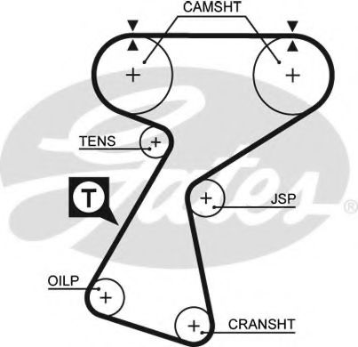 Arc spiral - SACHS