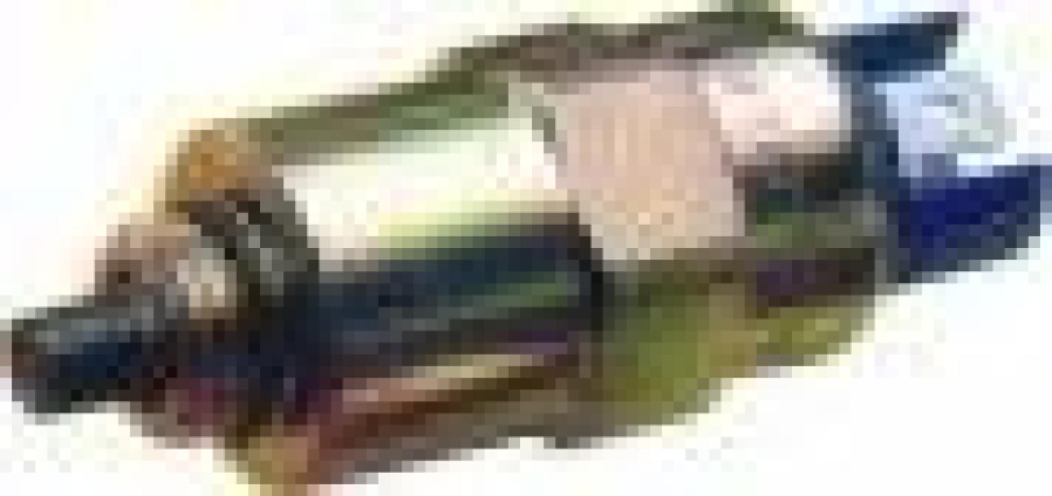 Bec, far faza lunga; Bec, far principal; Bec, proiector ceata; Bec, far principal; Bec, far faza lun...