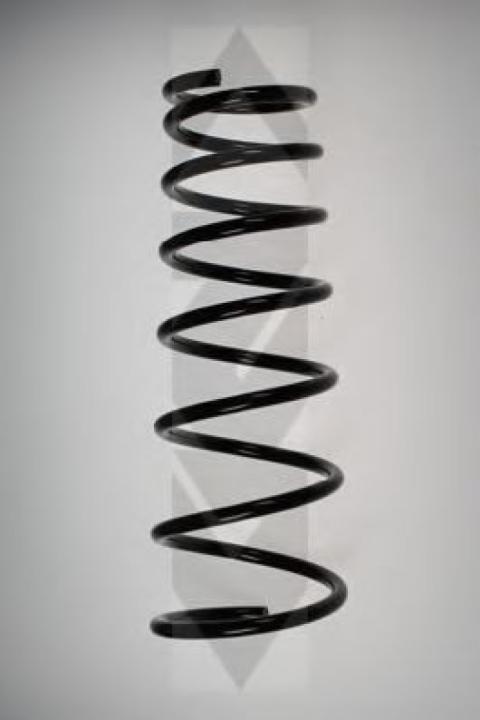 rola intinzator,curea distributie