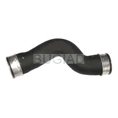 FEBI BILSTEIN Mounting, engine 12136110 - FEBI BILSTEIN