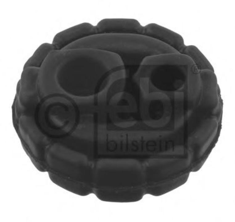 Furtun ear supraalimentare