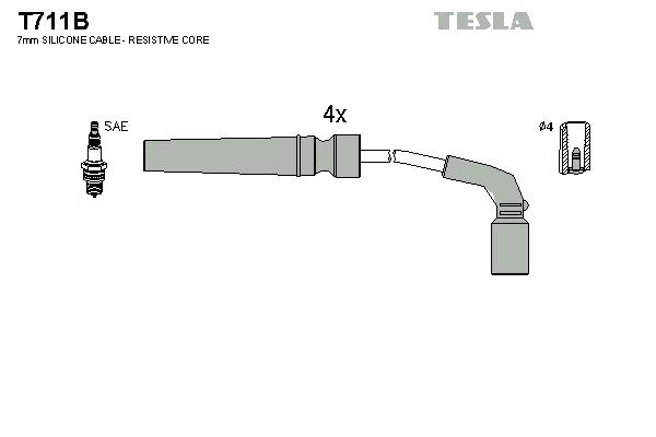 Set cablaj aprinder - TESLA
