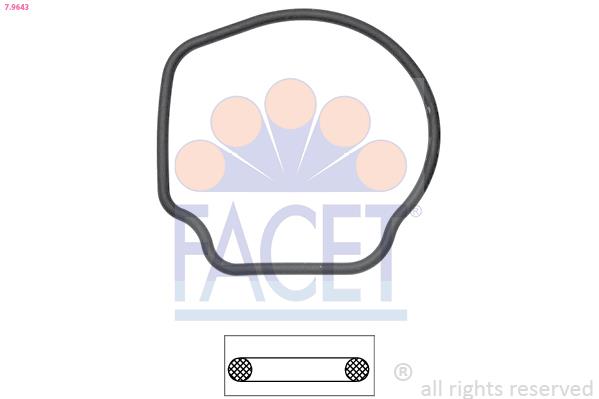 Garnitura termostat - FACET