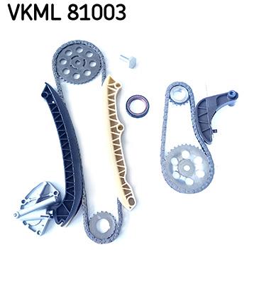 chit lant de distributie - SKF